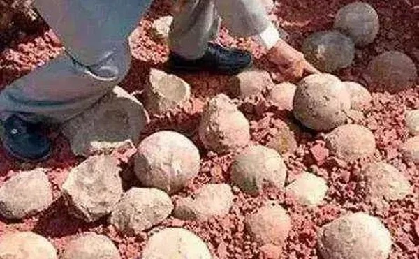 Đem đá lạ đi kiểm định, vỡ oà thấy "báu vật" bên trong