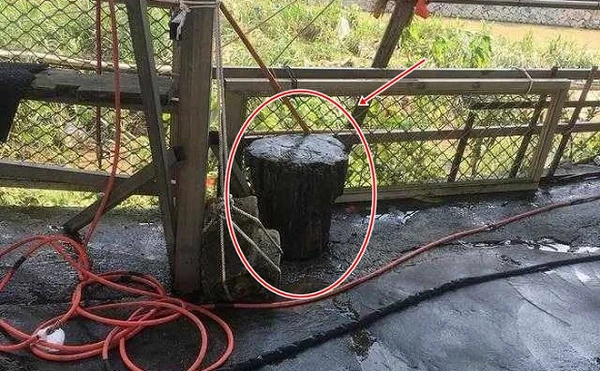 Lấy khối gỗ làm ghế ngồi, ai ngờ là báu vật 3,5 tỷ