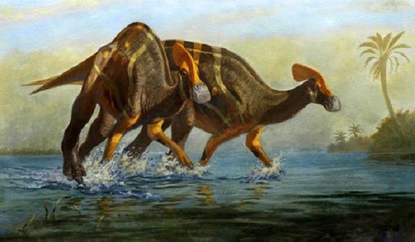 Sửng sốt phát hiện loài khủng long biết nói, "siêng" giao tiếp ở Mexico