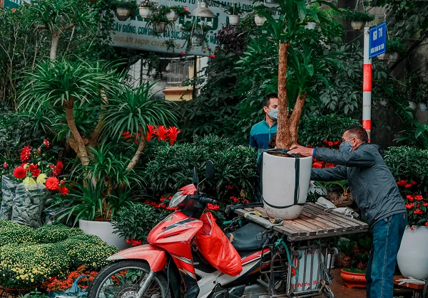 Không khí Tết tràn ngập tại các chợ hoa ở Hà Nội